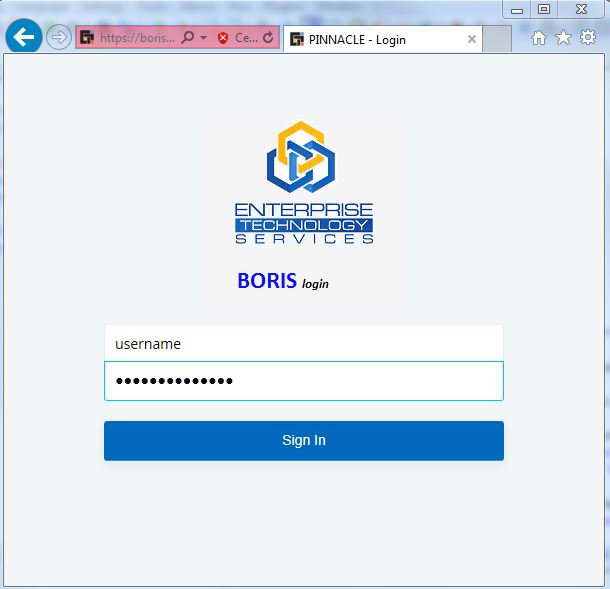 Log in to BORIS